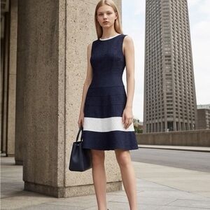 Sleeveless Navy and White A-Line Dress